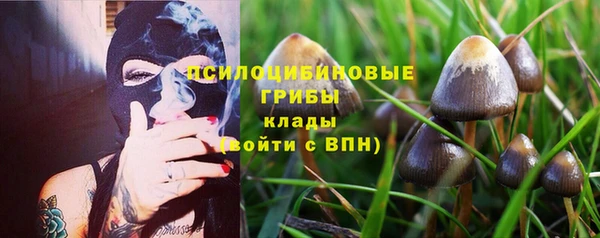 твердый Абдулино
