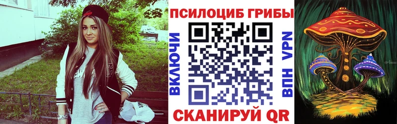 закладки  Ярославль  Галлюциногенные грибы Psilocybine cubensis 