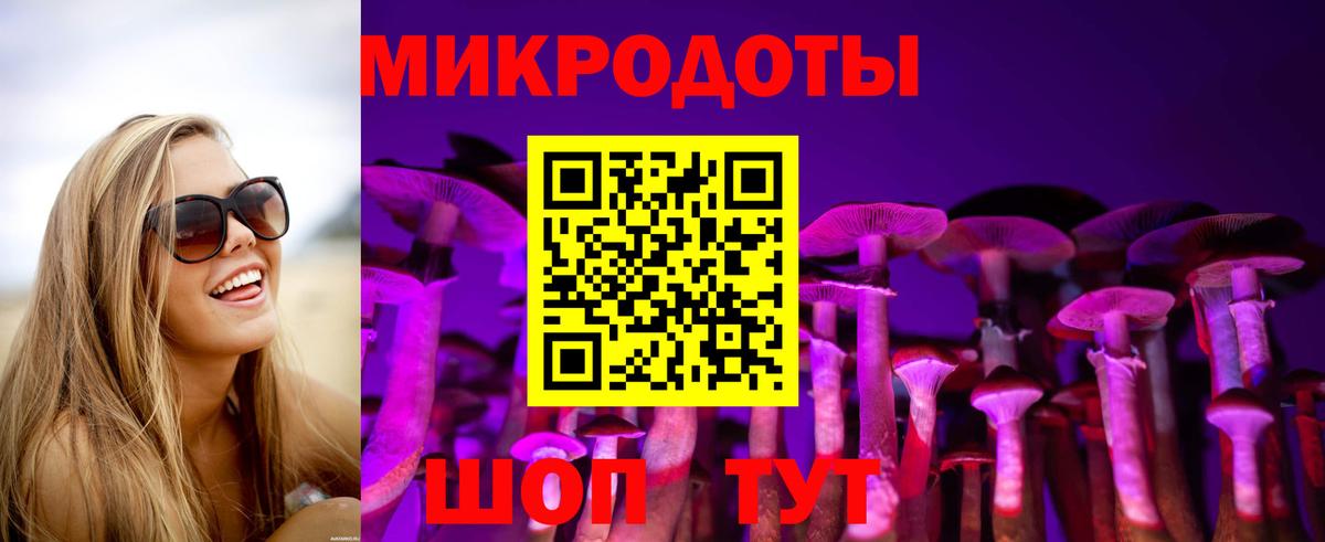 Галлюциногенные грибы Psilocybe  где купить наркоту  Ярославль  Вход с VPN  Галлюциногенные грибы Psilocybe 