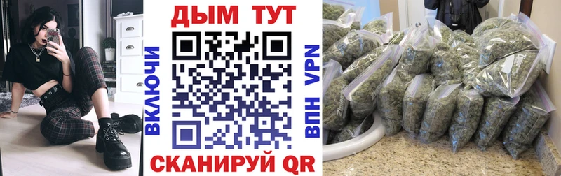 что такое наркотик  Ярославль  Каннабис сатива 